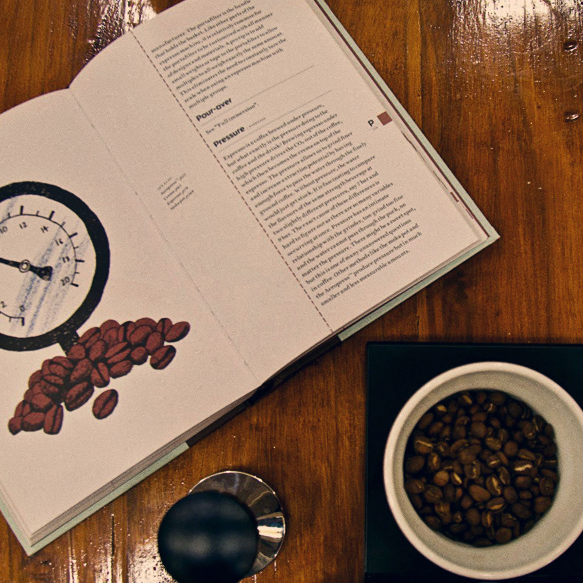 Introduction to Coffee