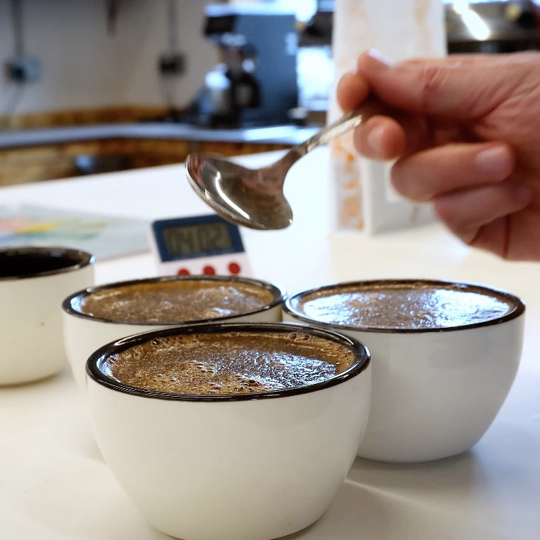 Sensory Intermediate